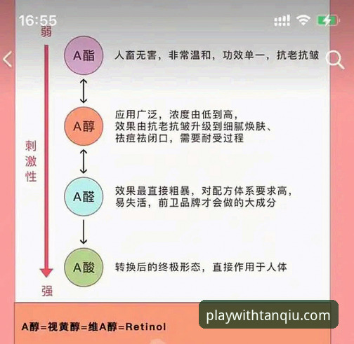 值得信赖体育品牌使用技巧全面解析：从新手到达人的进阶指南